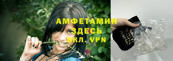 хмурый Арсеньев
