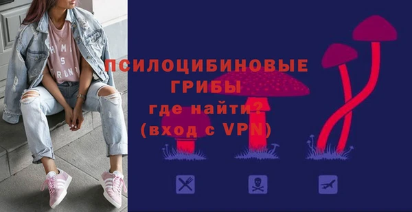 хмурый Арсеньев