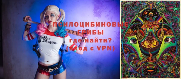 хмурый Арсеньев