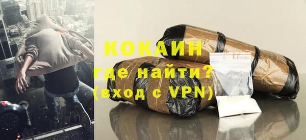 хмурый Арсеньев