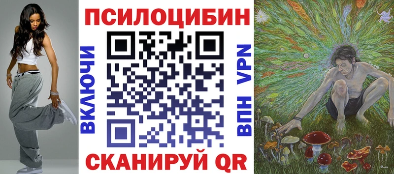 купить наркотики цена  Саров  Псилоцибиновые грибы Magic Shrooms 